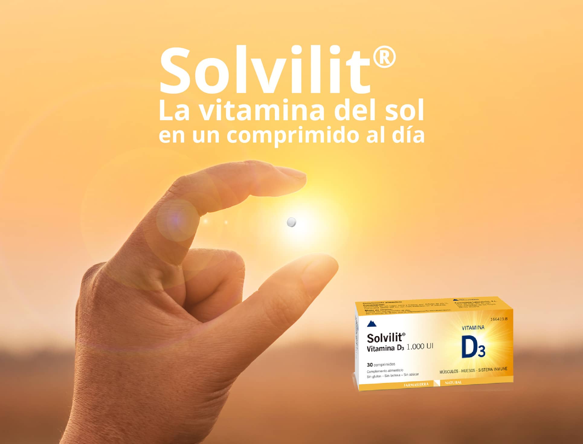 banner-solvilit